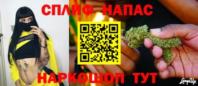 PSILOCYBIN Камышлов